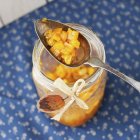 Hubbard zucca preservare con un cucchiaio sopra vaso aperto — Foto stock