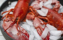 Closeup view of boiled red lobsters on ice — Stock Photo