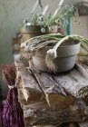 Cebollas verdes sobre un tazón de arcilla en una pila de madera - foto de stock