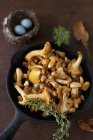 Chanterelle Mushrooms, close-up — Stock Photo