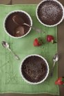 Cioccolato creme brulees — Foto stock