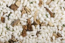 Vialone Nano risotto rice — Stock Photo