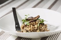 Cep risotto on plate — Stock Photo