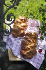 Два хлеба Зееленцопфа — стоковое фото