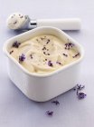 Lavender ice cream in a container — Stock Photo