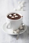 Cup of hot chocolate — Stock Photo
