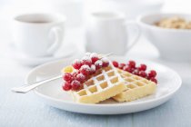 Waffles with redcurrants and sugar — Stock Photo