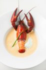 Closeup view of Crawfish Bisque with leek in white bowl — Stock Photo