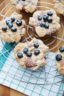 Muffins auf Kuchengestell — Stockfoto