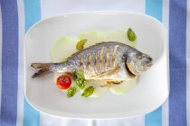 Grilled tilapia with cherry tomatoes — Stock Photo