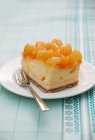 Pedaço de cheesecake de damasco — Fotografia de Stock