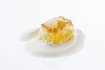 Honeycomb with yoghurt on white — Stock Photo