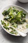 Primavera Verdi con crema e bacche di ginepro in piatto bianco con cucchiaio — Foto stock
