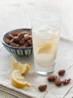 Closeup view of white Port and Tonic with salted almonds and lemon wedges — Stock Photo