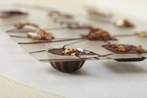 Cioccolatini fatti in casa in stampi — Foto stock