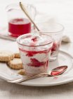 Rhubarb and ginger fool — Stock Photo