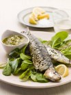 Grilled sardines with herb sauce — Stock Photo