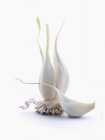 Fresh spring Garlic — Stock Photo