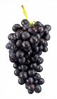 Ramo de uvas rojas frescas - foto de stock