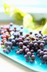 Fresh red grapes — Stock Photo