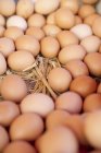 Huevos orgánicos frescos - foto de stock