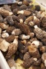 Closeup view of fresh Morel mushrooms heap — Stock Photo