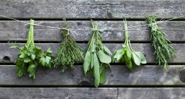 Bunches of fresh herbs — Stock Photo