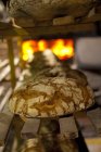 Frisch gebackene Brote im Regal — Stockfoto