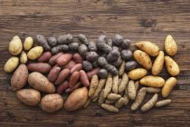 Montão de tipos variados de batatas — Fotografia de Stock