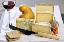 Types de fromages variés — Photo de stock