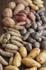 Montão de tipos variados de batatas — Fotografia de Stock