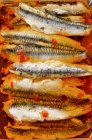 Sardine fillets with chilli — Stock Photo