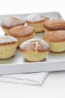 Muffins sprinkled with icing sugar — Stock Photo