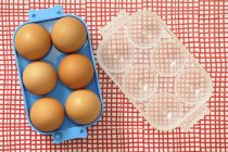 Brown eggs in plastic egg box — Stock Photo