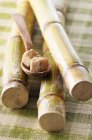 Vista close-up de cubos de açúcar cru em uma colher de madeira e canas de açúcar — Fotografia de Stock