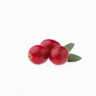 Cranberries com gotas de água — Fotografia de Stock