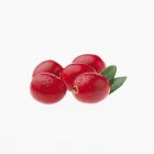 Cranberries with water droplets — Stock Photo