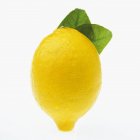 Frische Zitrone mit Blatt — Stockfoto