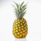 Raw fresh pineapple — Stock Photo