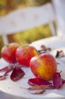 Pommes fraîches et feuilles d'automne rouges — Photo de stock