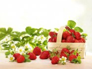 Fresh strawberries with leaves — Stock Photo