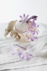 Una scilla flores con huevo de pavo y hosta hojas en un mantel blanco - foto de stock