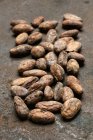 Органические какао-бобы — стоковое фото