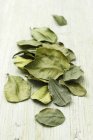 Вид крупным планом на сушеные листья липы кафира — стоковое фото