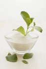 Closeup view of a Stevia plant and powder in a bowl — Stock Photo