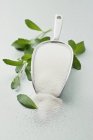 Closeup view of Stevia leaves and powder in shovel — Stock Photo