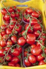 Tomates em recipiente de plástico — Fotografia de Stock