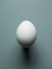 White chicken egg — Stock Photo