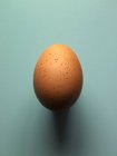 Brown chicken egg — Stock Photo