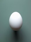Huevo de pollo blanco - foto de stock